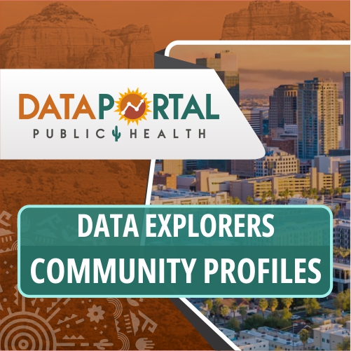 Data Explorers | Application
